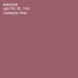 #9B5D68 - Cannon Pink Color Image
