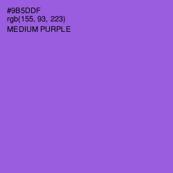 #9B5DDF - Medium Purple Color Image