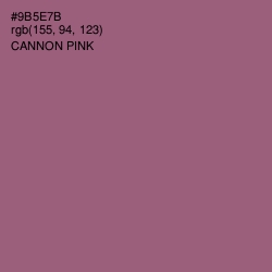 #9B5E7B - Cannon Pink Color Image