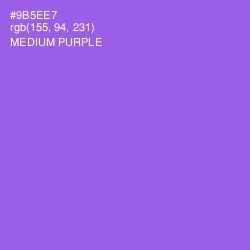 #9B5EE7 - Medium Purple Color Image