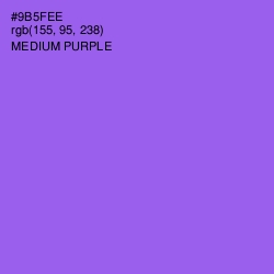 #9B5FEE - Medium Purple Color Image