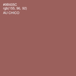 #9B605C - Au Chico Color Image