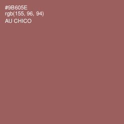 #9B605E - Au Chico Color Image