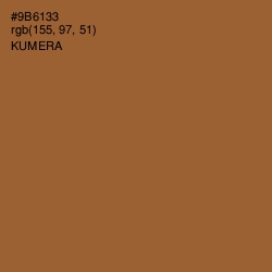 #9B6133 - Kumera Color Image