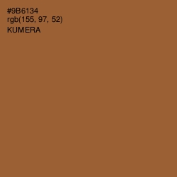 #9B6134 - Kumera Color Image