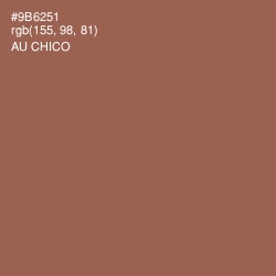 #9B6251 - Au Chico Color Image