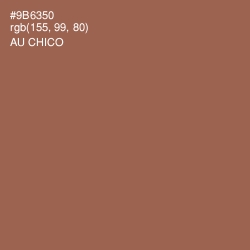 #9B6350 - Au Chico Color Image