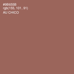 #9B655B - Au Chico Color Image