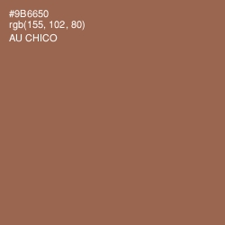 #9B6650 - Au Chico Color Image