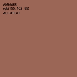 #9B6655 - Au Chico Color Image