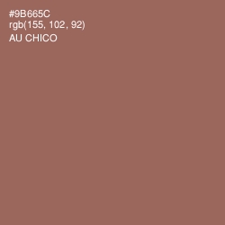 #9B665C - Au Chico Color Image