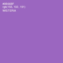 #9B66BF - Wisteria Color Image