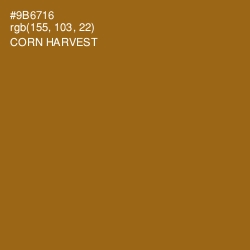 #9B6716 - Corn Harvest Color Image