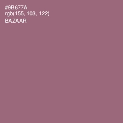 #9B677A - Bazaar Color Image