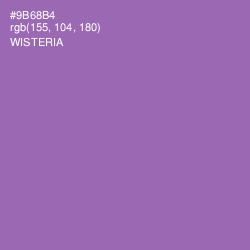 #9B68B4 - Wisteria Color Image