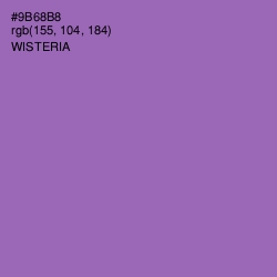 #9B68B8 - Wisteria Color Image