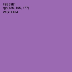 #9B69B1 - Wisteria Color Image