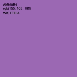 #9B69B4 - Wisteria Color Image