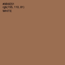#9B6E51 - Beaver Color Image
