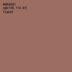 #9B6E61 - Toast Color Image