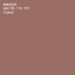 #9B6E65 - Toast Color Image