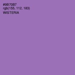 #9B70B7 - Wisteria Color Image