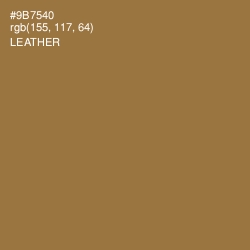 #9B7540 - Leather Color Image