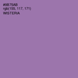 #9B75AB - Wisteria Color Image