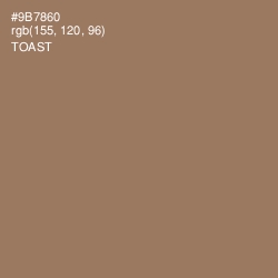 #9B7860 - Toast Color Image