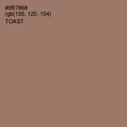 #9B7868 - Toast Color Image