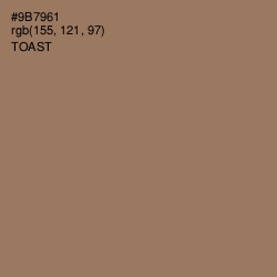 #9B7961 - Toast Color Image