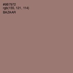 #9B7972 - Bazaar Color Image