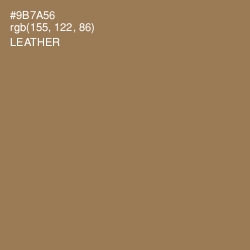 #9B7A56 - Leather Color Image