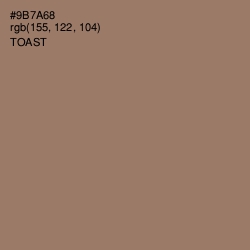 #9B7A68 - Toast Color Image