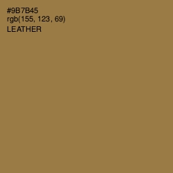 #9B7B45 - Leather Color Image