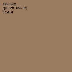 #9B7B60 - Toast Color Image