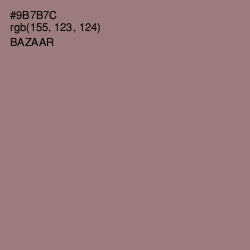 #9B7B7C - Bazaar Color Image