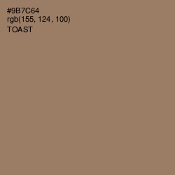 #9B7C64 - Toast Color Image