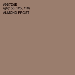 #9B7D6E - Almond Frost Color Image