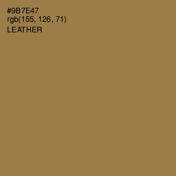 #9B7E47 - Leather Color Image