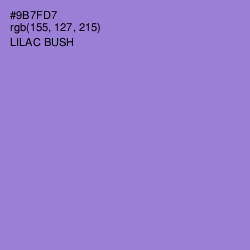 #9B7FD7 - Lilac Bush Color Image