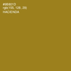 #9B801D - Hacienda Color Image