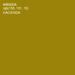 #9B830A - Hacienda Color Image