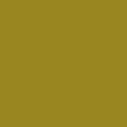 #9B861F - Reef Gold Color Image