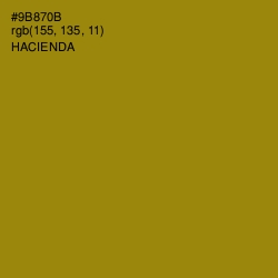 #9B870B - Hacienda Color Image