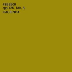 #9B8B08 - Hacienda Color Image