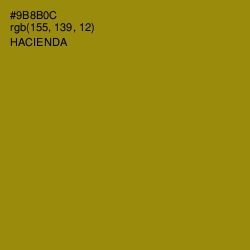 #9B8B0C - Hacienda Color Image