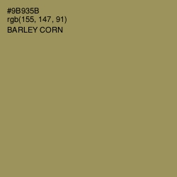 #9B935B - Barley Corn Color Image