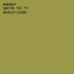 #9B9847 - Barley Corn Color Image