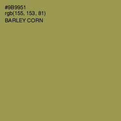 #9B9951 - Barley Corn Color Image